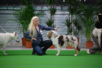 dogshow Alkmaar 08-09-2012